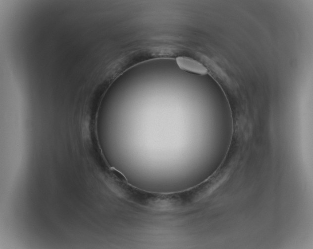 X0000110950209200906191257