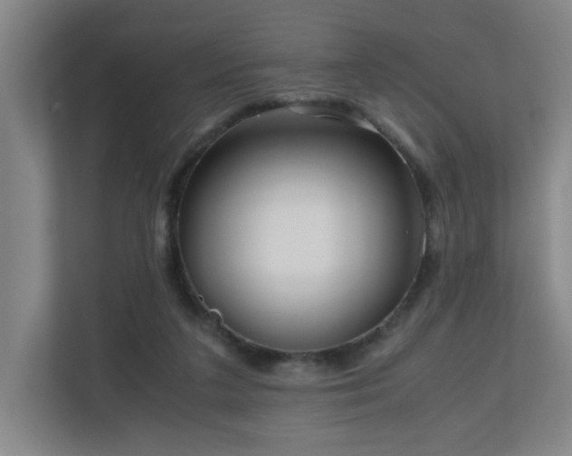 X0000110950211200906191257