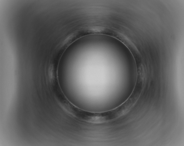 X0000110950212200906191257