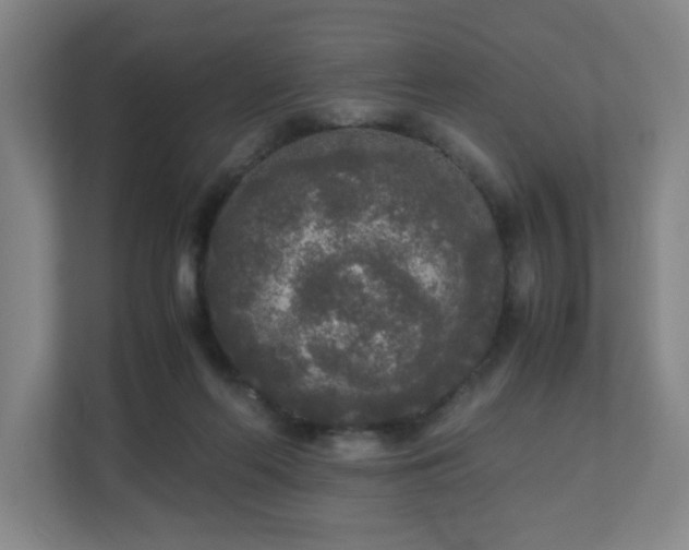 X0000110950214200906191257