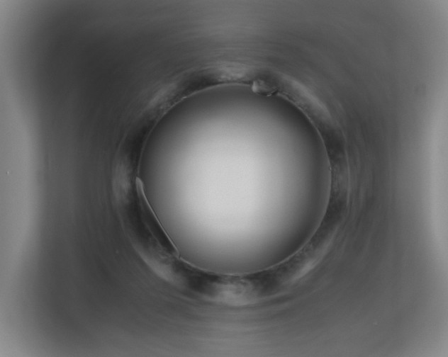 X0000110950215200906191257