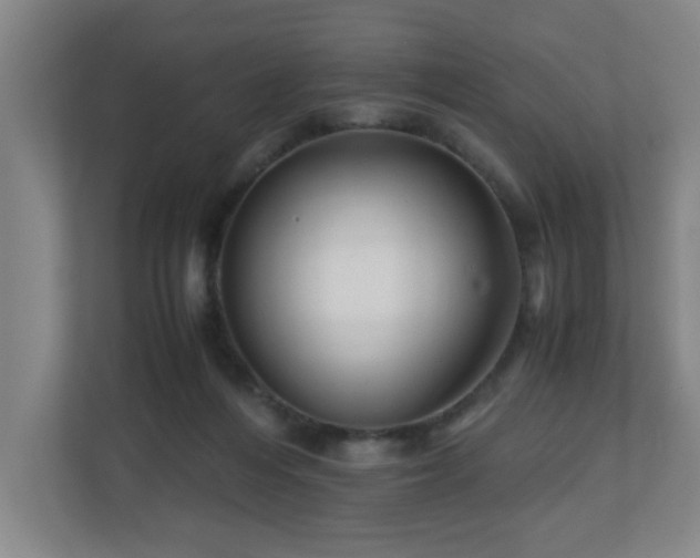 X0000110950216200906191257