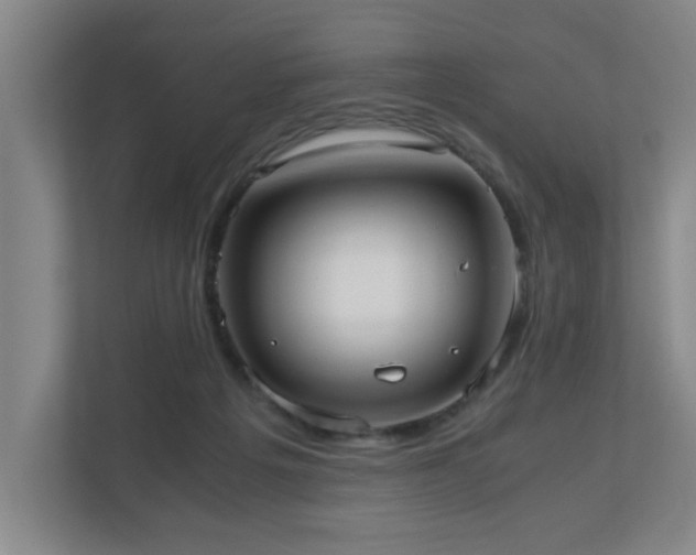 X0000110950217200906191257