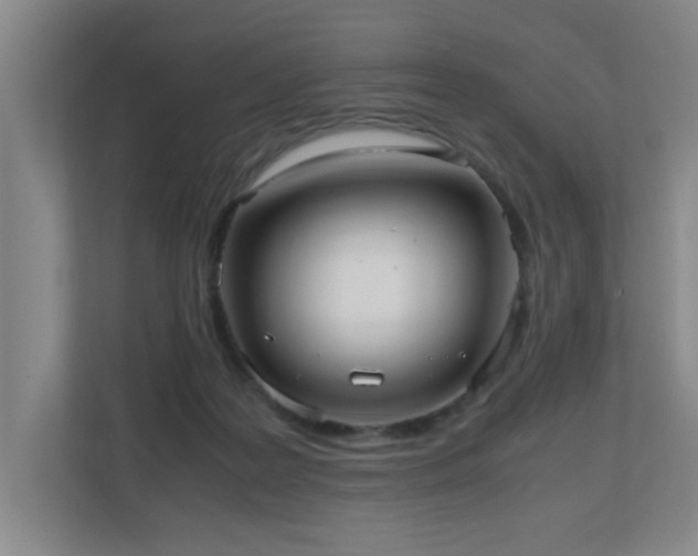 X0000110950219200906191257
