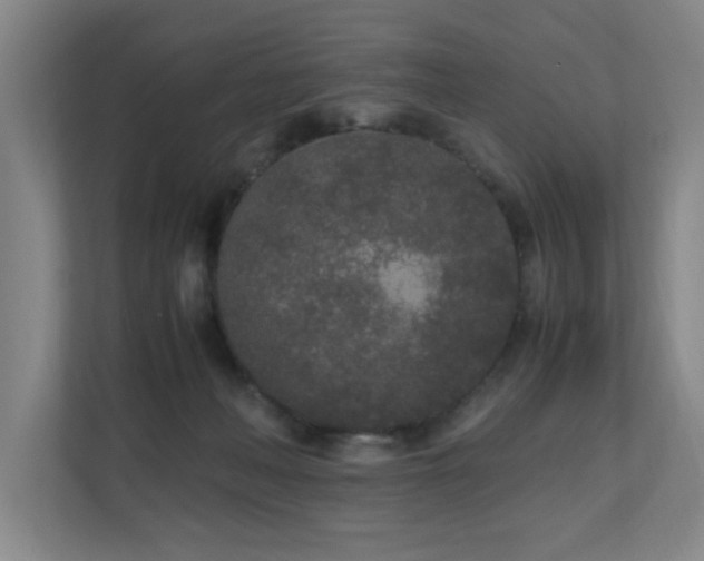 X0000110950222200906191257