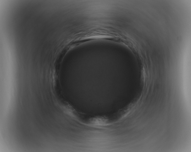 X0000110950223200906191257