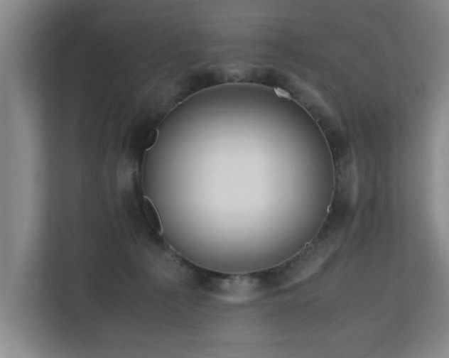 X0000110950225200906191257