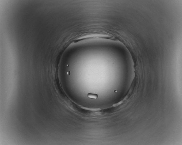 X0000110950227200906191257