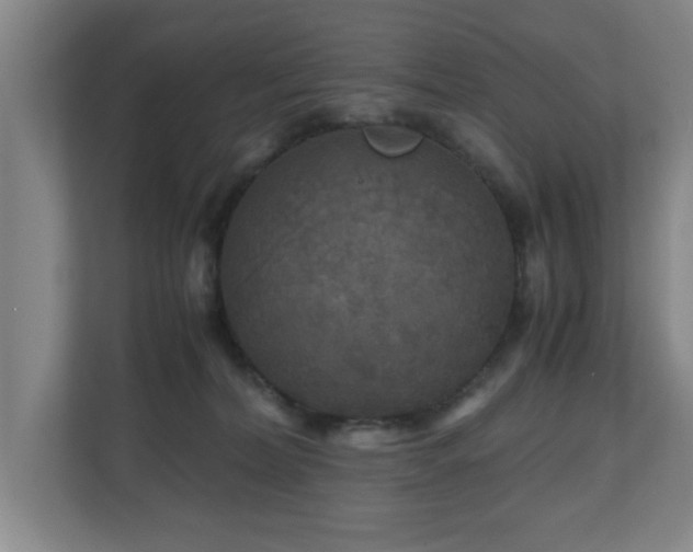 X0000110950228200906191257