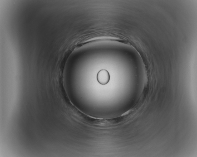 X0000110950229200906191257