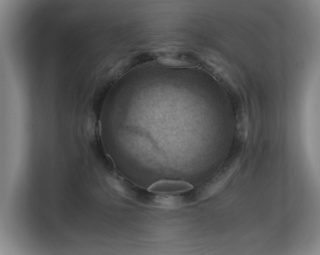 X0000110950231200906191257