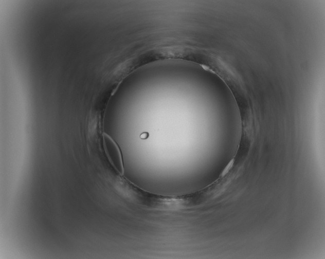 X0000110950233200906191257