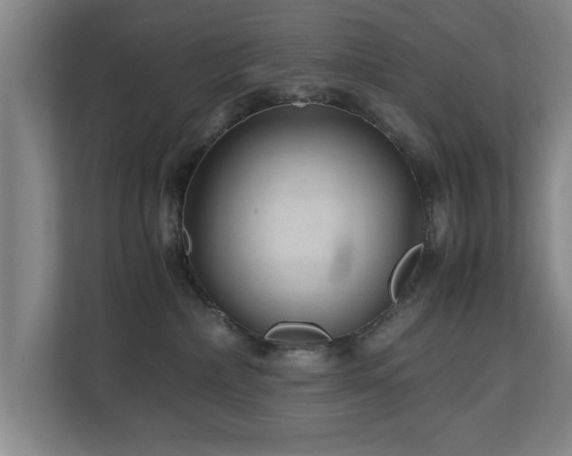 X0000110950236200906191257