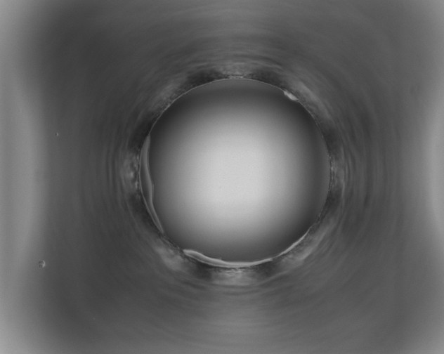 X0000110950237200906191257