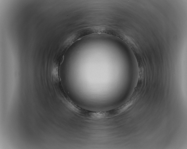 X0000110950238200906191257