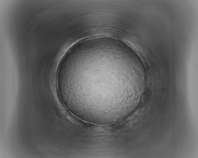 X0000110950241200906191256
