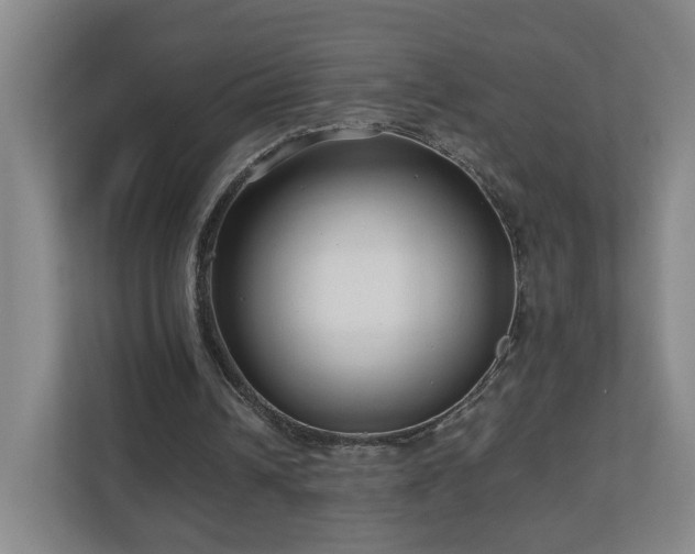 X0000110950242200906191256