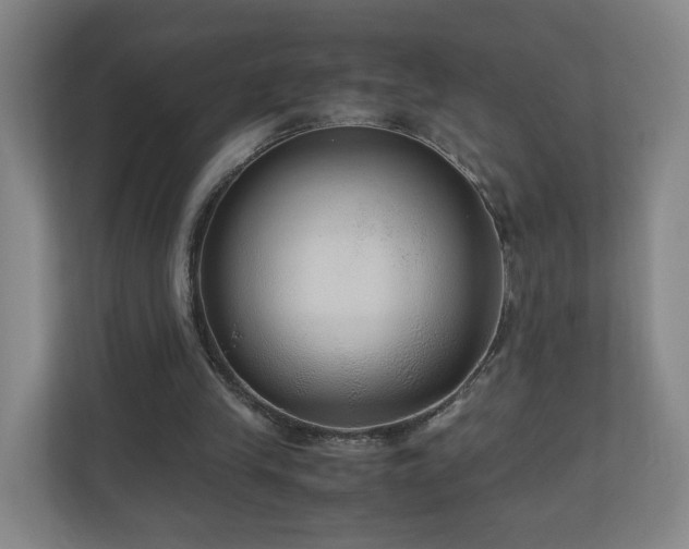 X0000110950245200906191256