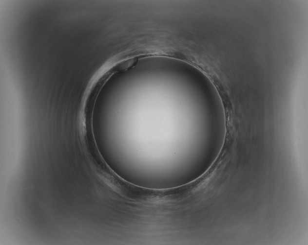 X0000110950246200906191256