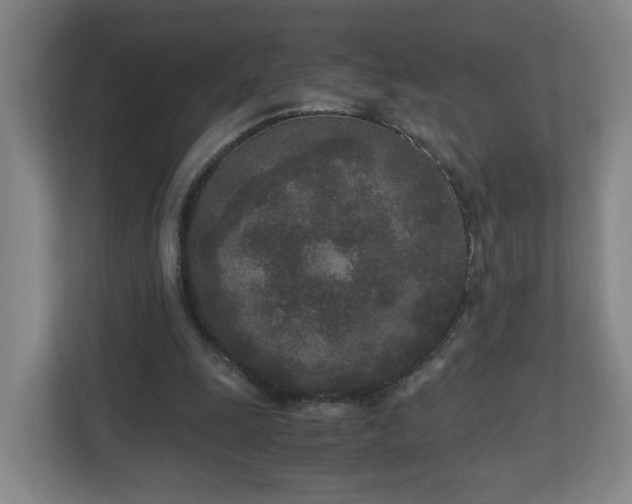 X0000110950247200906191256