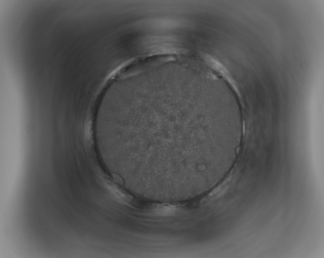 X0000110950249200906191256