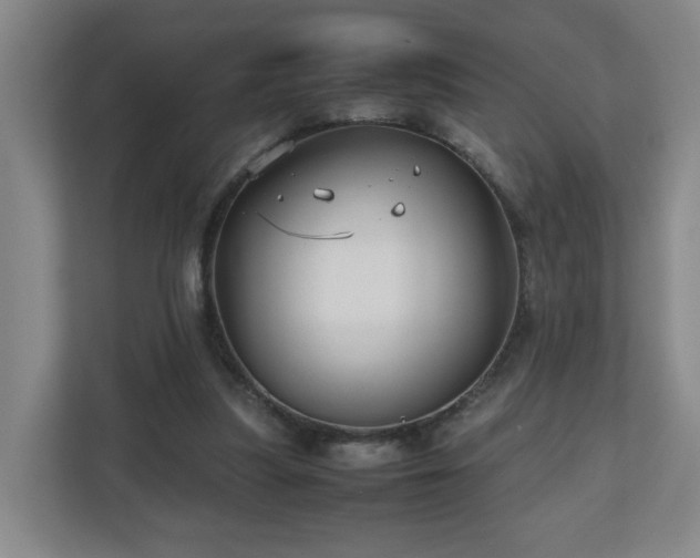 X0000110950251200906191256