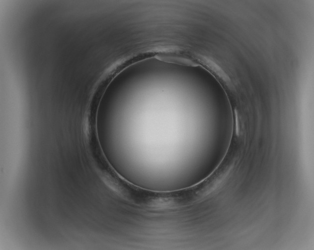 X0000110950252200906191256