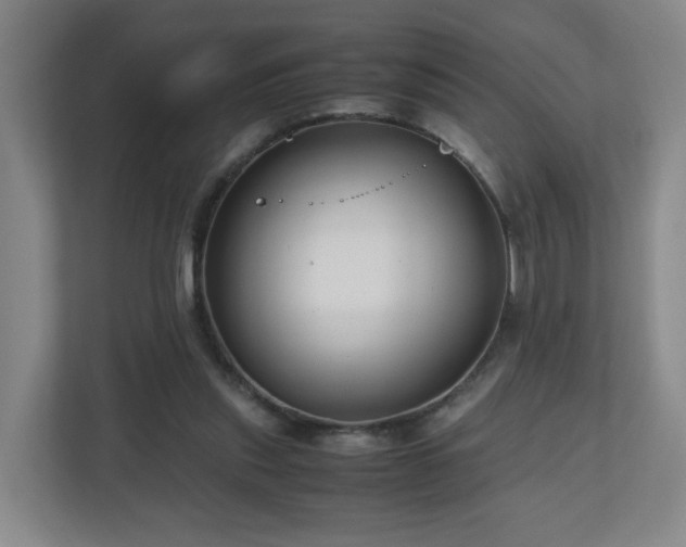 X0000110950253200906191256