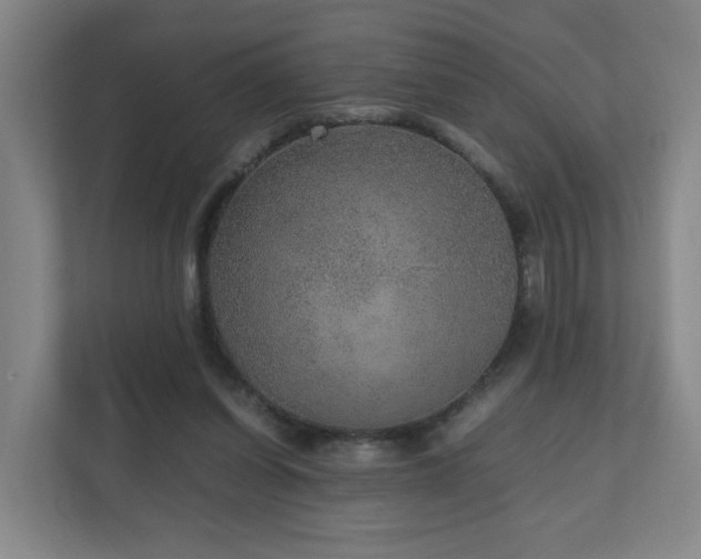 X0000110950254200906191256