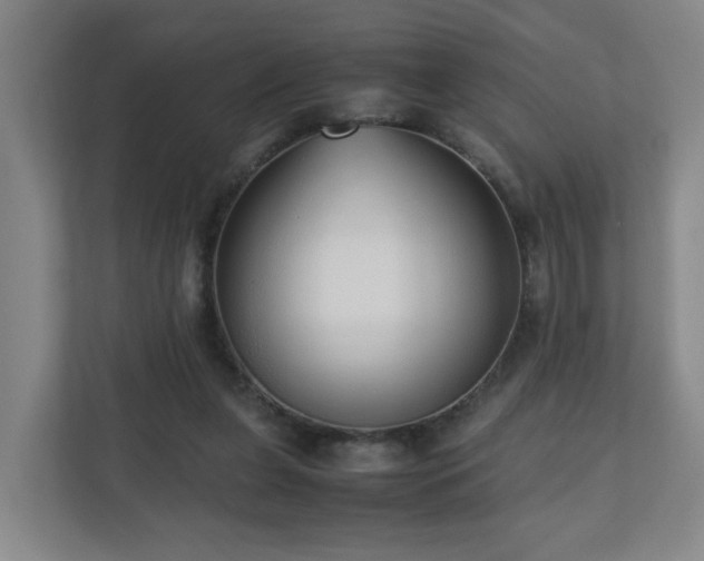 X0000110950255200906191256