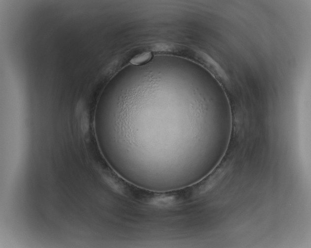 X0000110950257200906191256