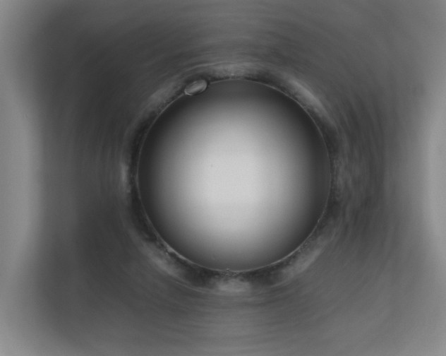X0000110950258200906191256