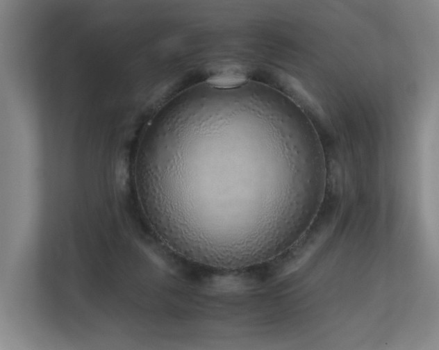 X0000110950259200906191256