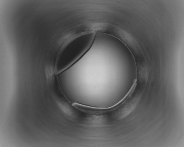 X0000110950260200906191256