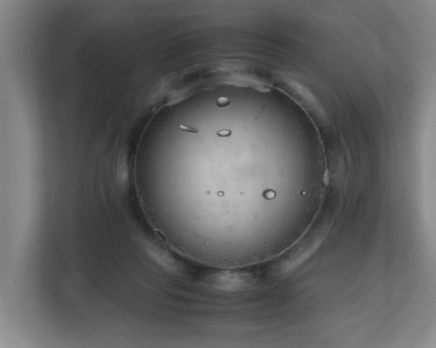 X0000110950261200906191256