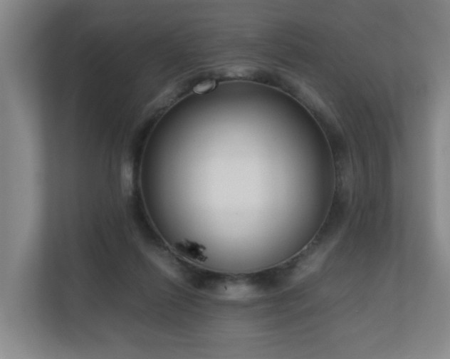 X0000110950262200906191256