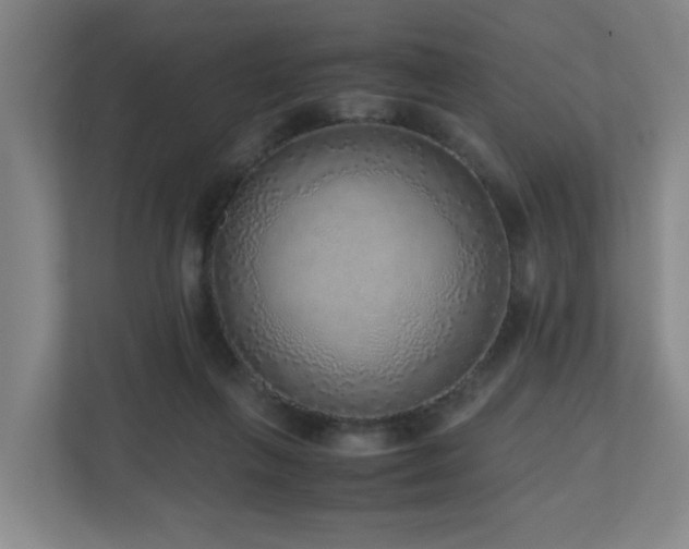 X0000110950263200906191256