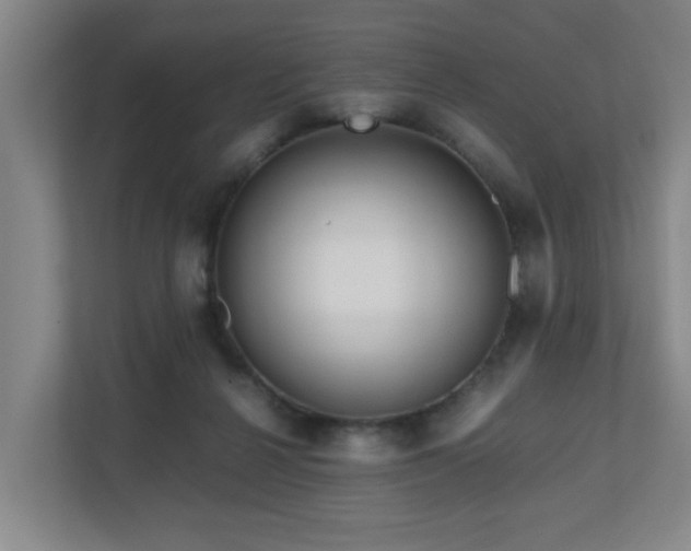 X0000110950264200906191256