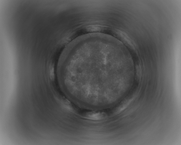 X0000110950267200906191256