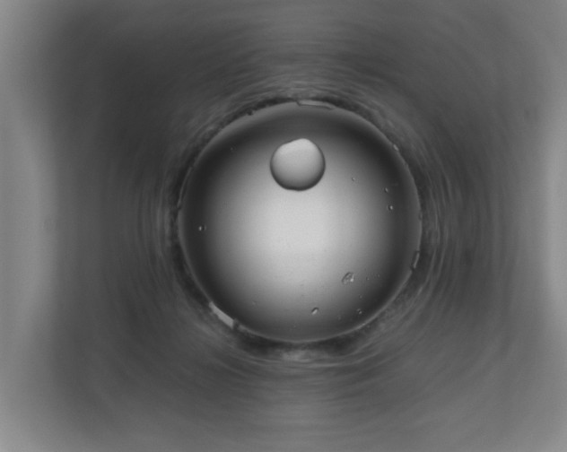 X0000110950268200906191256