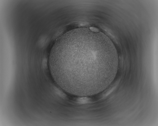 X0000110950269200906191256