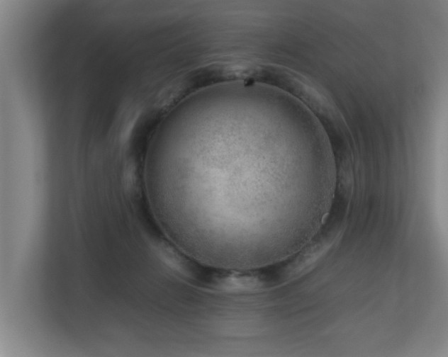 X0000110950270200906191256
