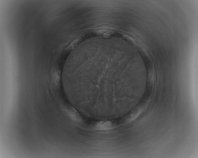 X0000110950271200906191256