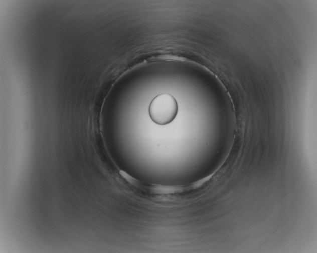 X0000110950272200906191256