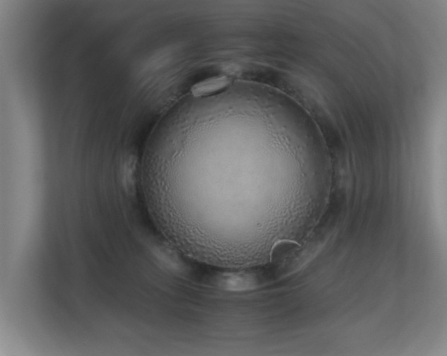 X0000110950275200906191256