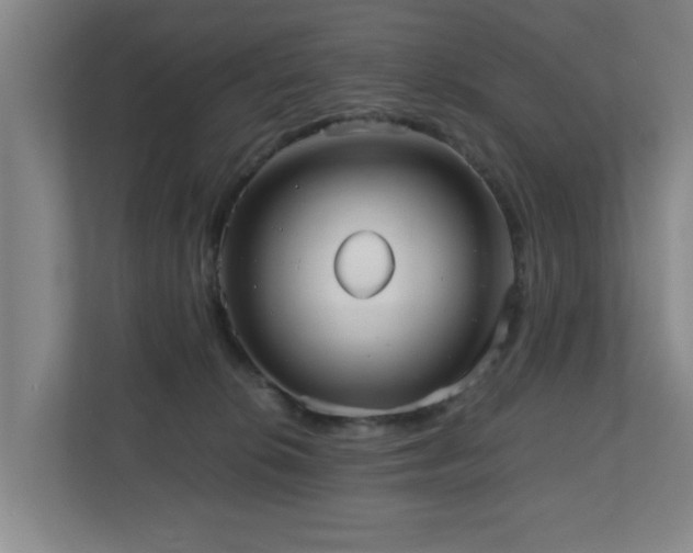 X0000110950276200906191256