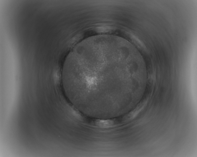 X0000110950277200906191256