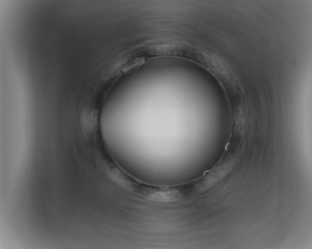 X0000110950278200906191256