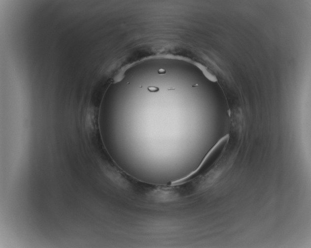 X0000110950280200906191257
