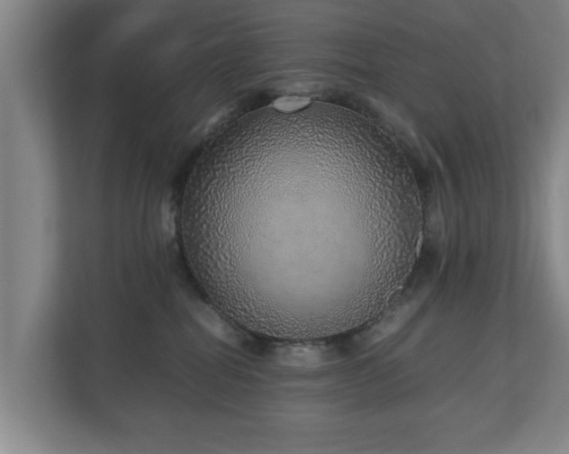 X0000110950282200906191257